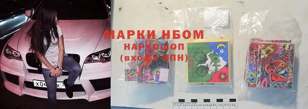 Альфа ПВП Новозыбков