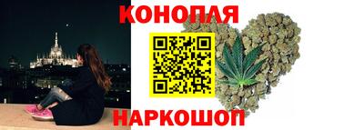 гидра Заволжье