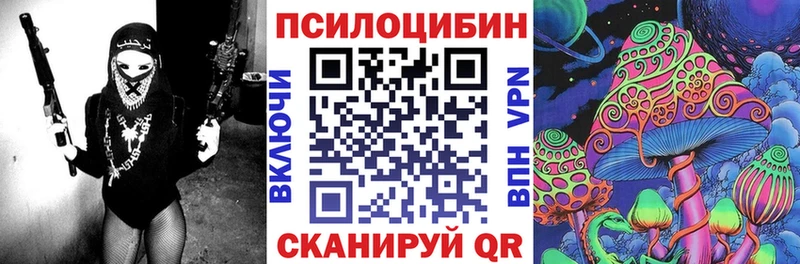 MEGA tor  Электрогорск  Псилоцибиновые грибы прущие грибы  хочу  