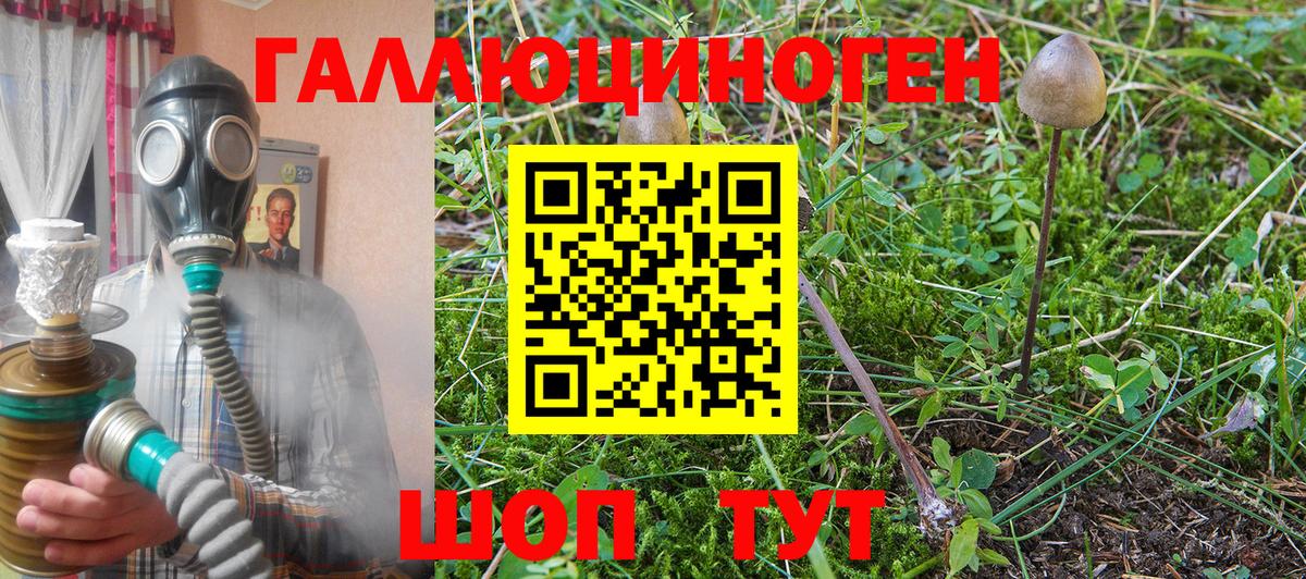 где купить наркотик  Вход с VPN  Электрогорск  Псилоцибиновые грибы Cubensis  Галлюциногенные грибы Psilocybine cubensis 