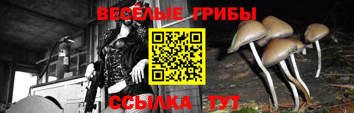 Псилоцибиновые грибы прущие грибы Электрогорск