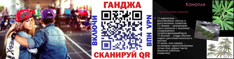 Конопля сатива  Электрогорск 